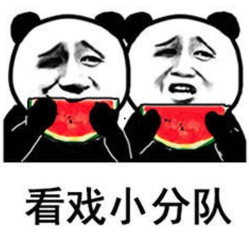 吃瓜表情包图,揭秘网络社交中的幽默与讽刺  第2张