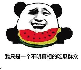 吃瓜啥意思网络用语,网络热词背后的文化现象  第2张