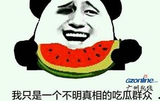 吃瓜啥意思网络用语,网络热词背后的文化现象  第3张